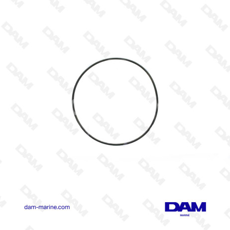 SUZUKI 48585-95E00 O-RING