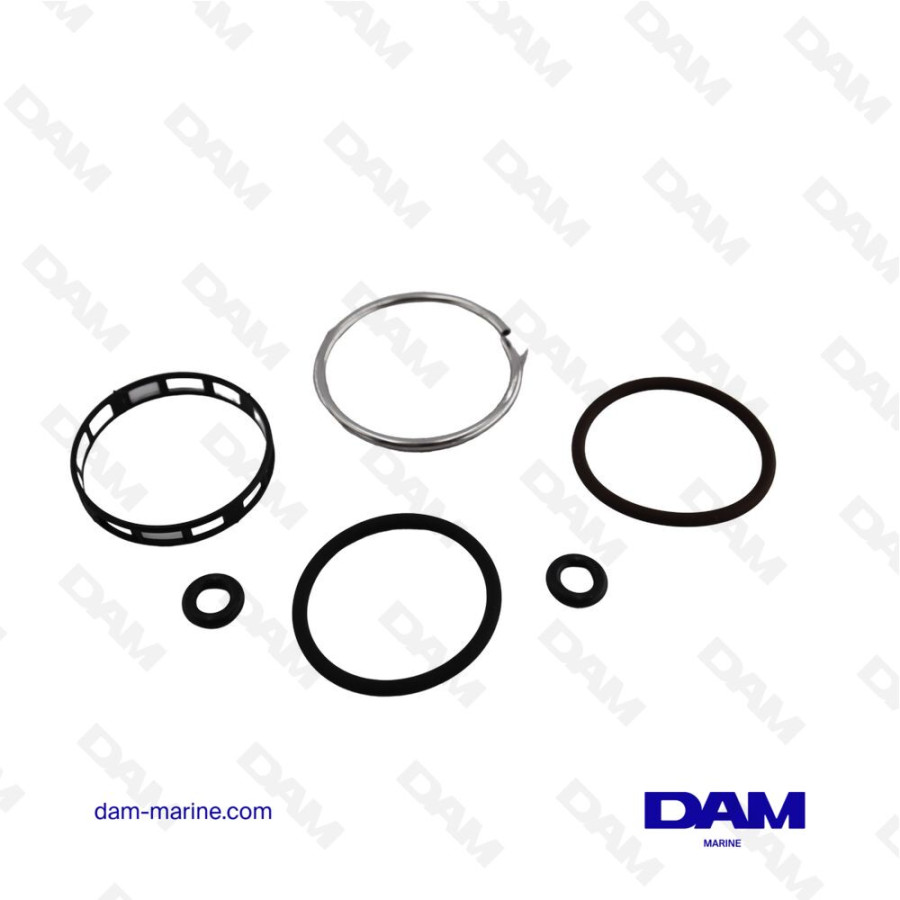 KIT DE SELLOS DE INYECTOR OMC BRP 5007017*