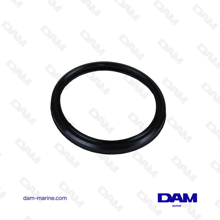 VOLVO WATER FILTER SEAL - 842724