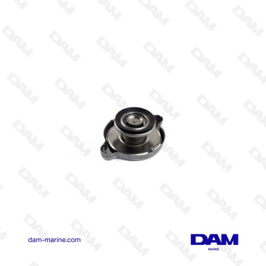 VOLVO EXCHANGE PLUG - 845879