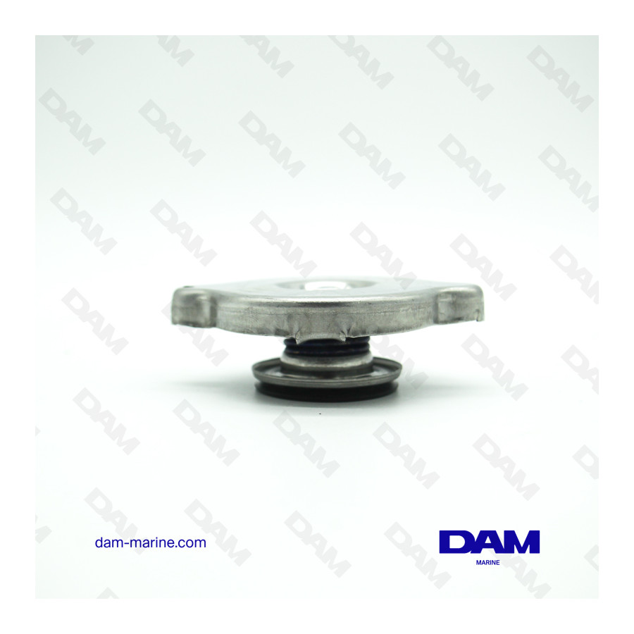 BOUCHON ECHANGEUR VOLVO - 888625
