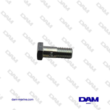 VOLVO M10 BANJO FITTING -...