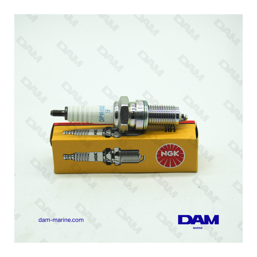 NGK DPR6EA-9 SPARK PLUG