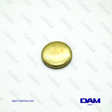 PASTILLE DE DESSABLAGE FORD...