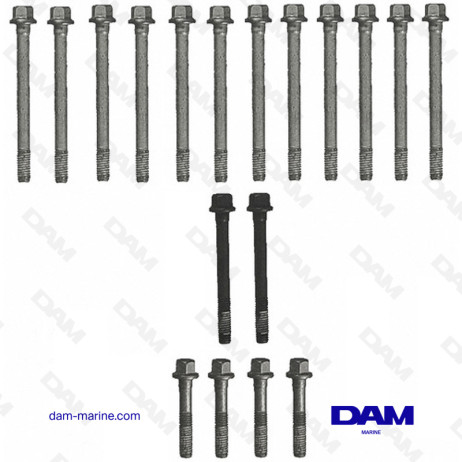 GM 496 - 8.1L CYLINDER HEAD SCREW KIT