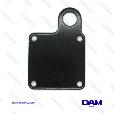 MERCRUISER MANIFOLD BACK PLATE