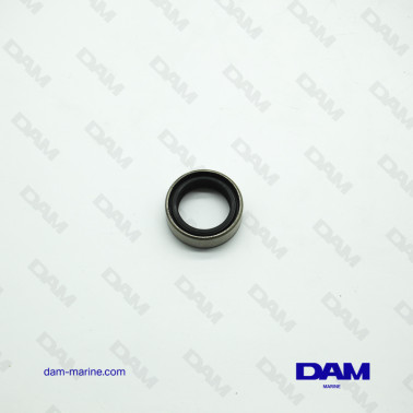 JOINT SPI EMBASE OMC