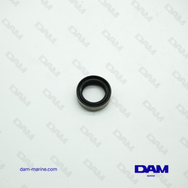 JOINT SPI EMBASE OMC