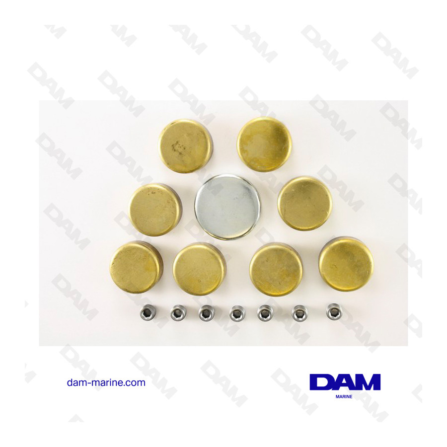 KIT COMPRESSE DISSABBIANTI GM V8 BB - G4