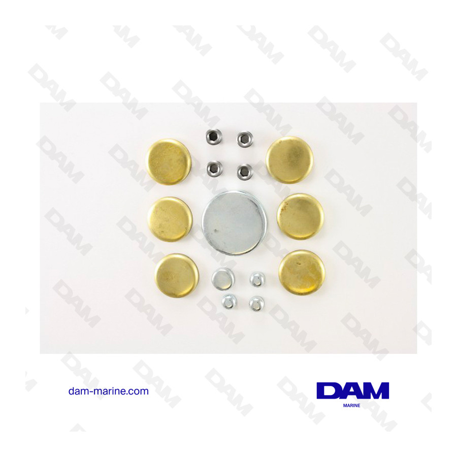 FORD V8 SAND REMOVAL TABLETS KIT