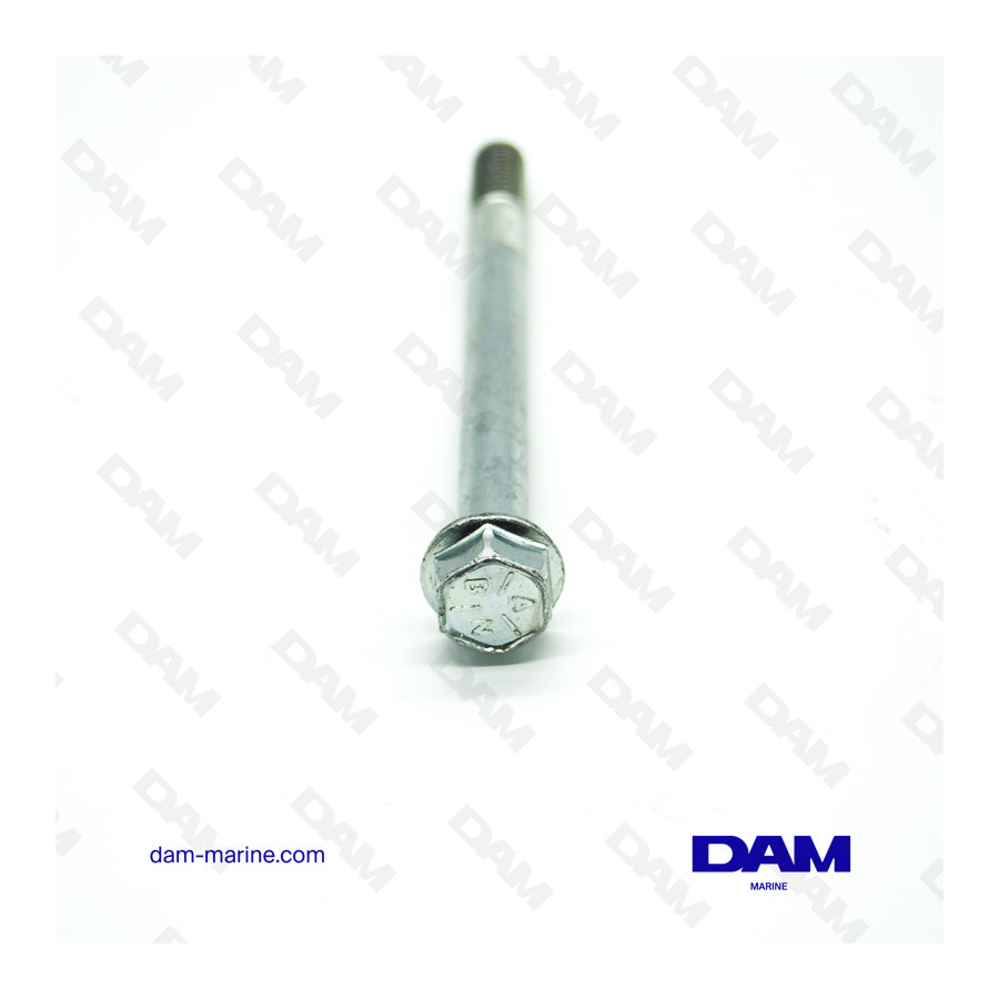 TORNILLO DE ARRANQUE DE 12 CM