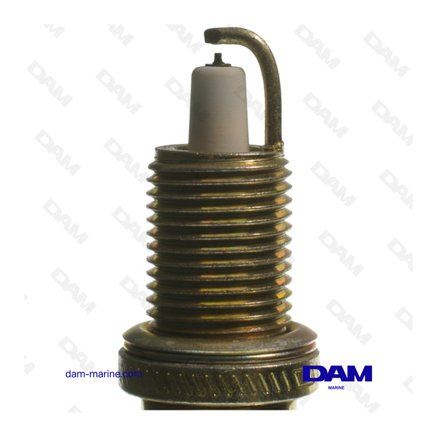 VELA DE CHAMPION