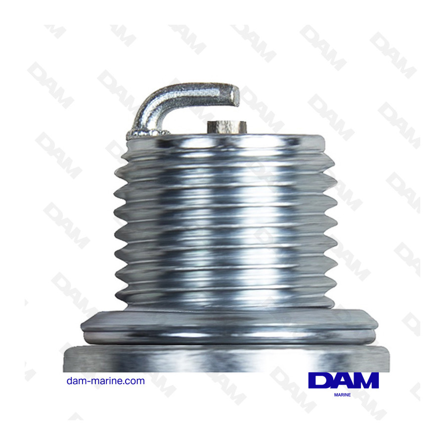 VELA DE CHAMPION