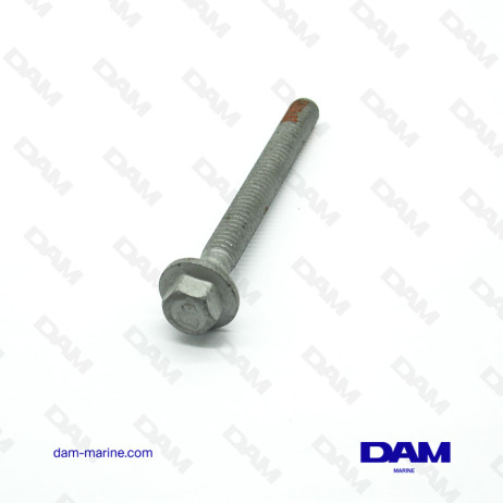 6L CYLINDER HEAD SCREWS