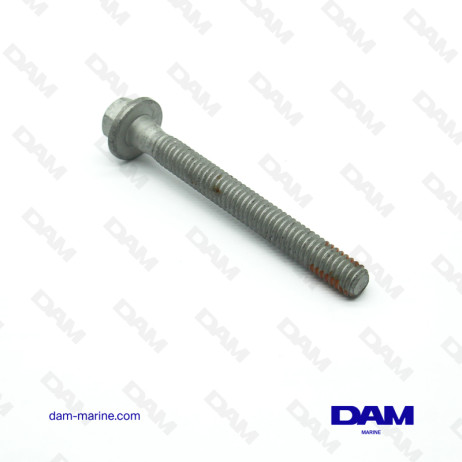 6L CYLINDER HEAD SCREWS