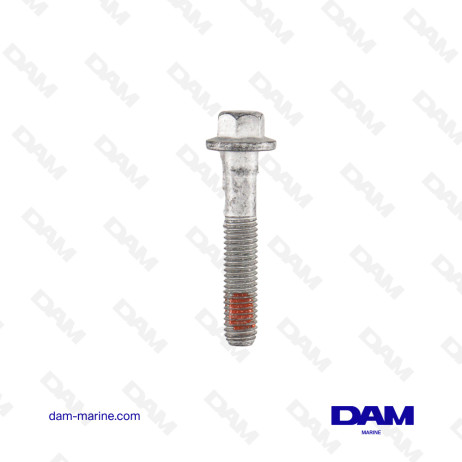 6L CYLINDER HEAD SCREWS