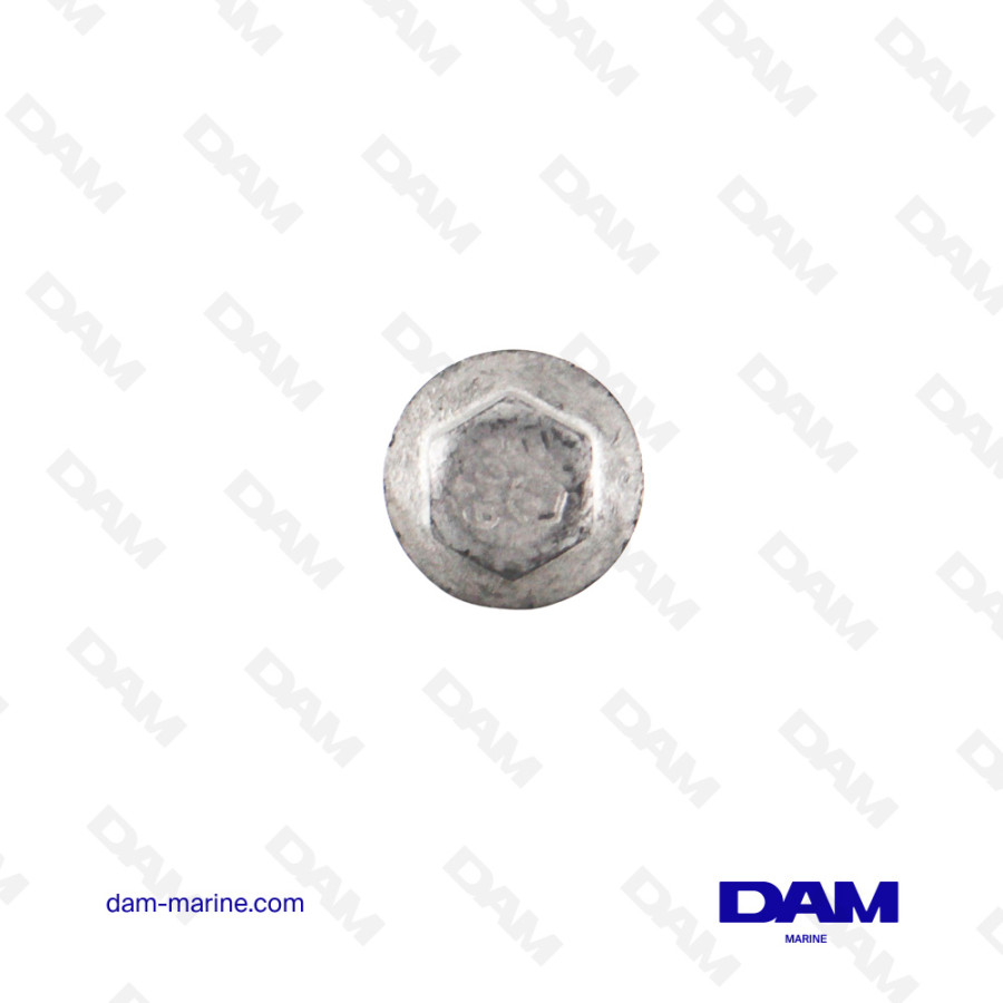 6L CYLINDER HEAD SCREWS