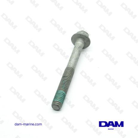 6L CYLINDER HEAD SCREWS
