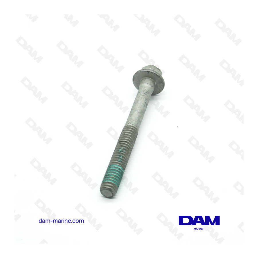 6L CYLINDER HEAD SCREWS