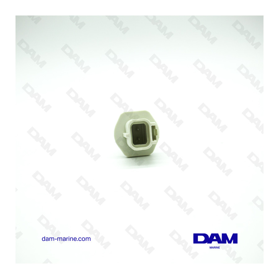 CAPTEUR TEMPERATURE AIR H5