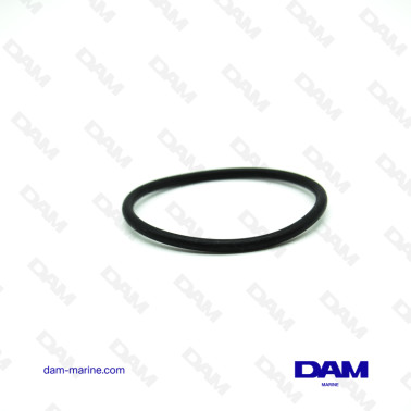 ANILLO TÓRICO DEL PCM