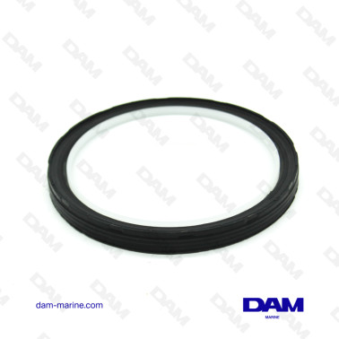 PARAOLIO POSTERIORE ALBERO...