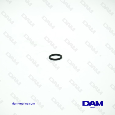 ANILLO TÓRICO DEL PCM