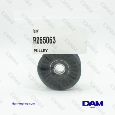 H5-6 TENSIONER PULLEY - SMOOTH