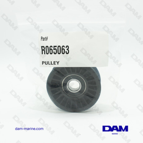 H5-6 TENSIONER PULLEY - SMOOTH