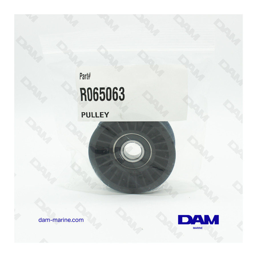 H5-6 TENSIONER PULLEY - SMOOTH