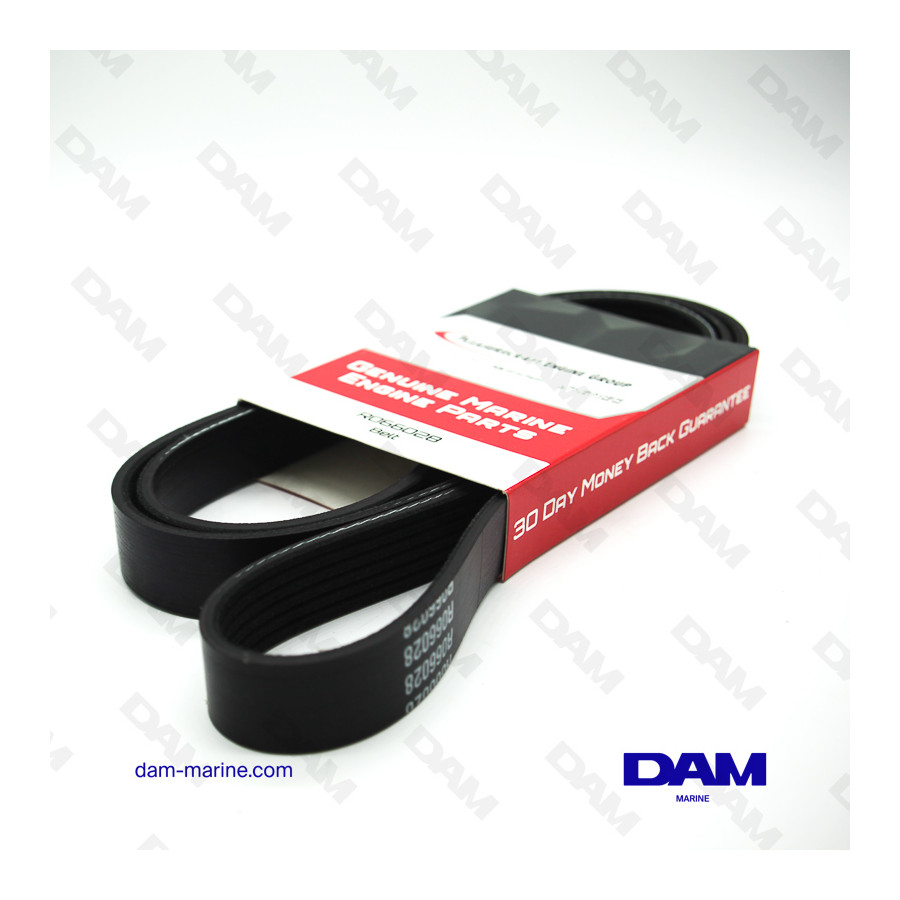 PCM EXCALIBUR SERPENTINE BELT