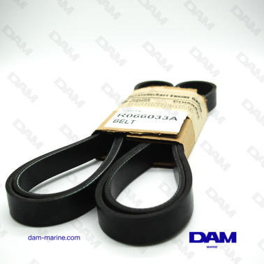 PCM ZR6 - ZR4 SERPENTINE BELT