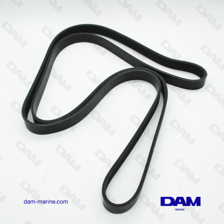 CINGHIA SERPENTINA PCM 6.2L