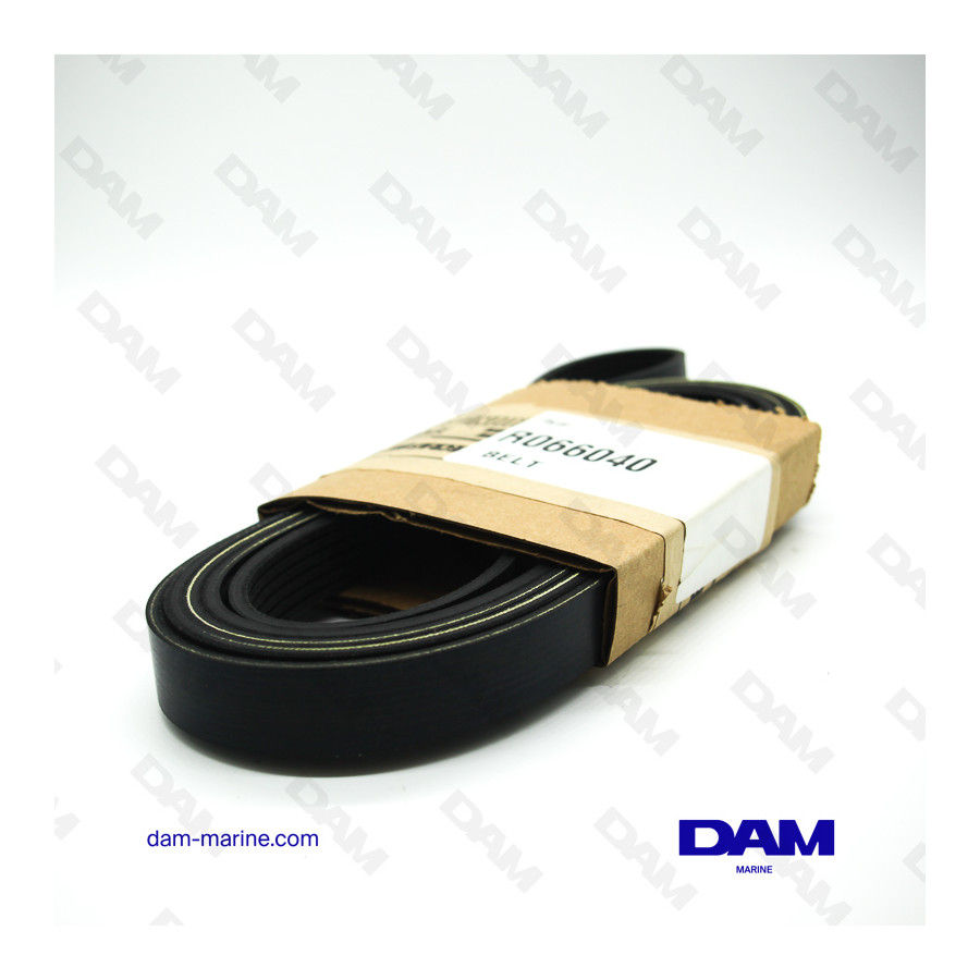 PCM H5 - H6 SERPENTINE BELT