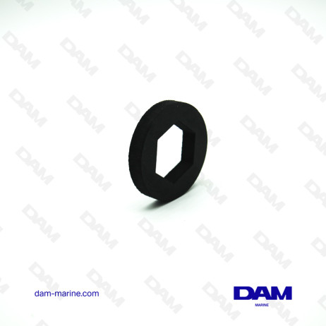 PCM FCC FUEL PUMP SEAL