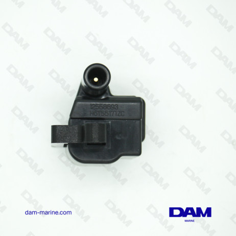 BOBINA DI ACCENSIONE GM 8,1 LITRI