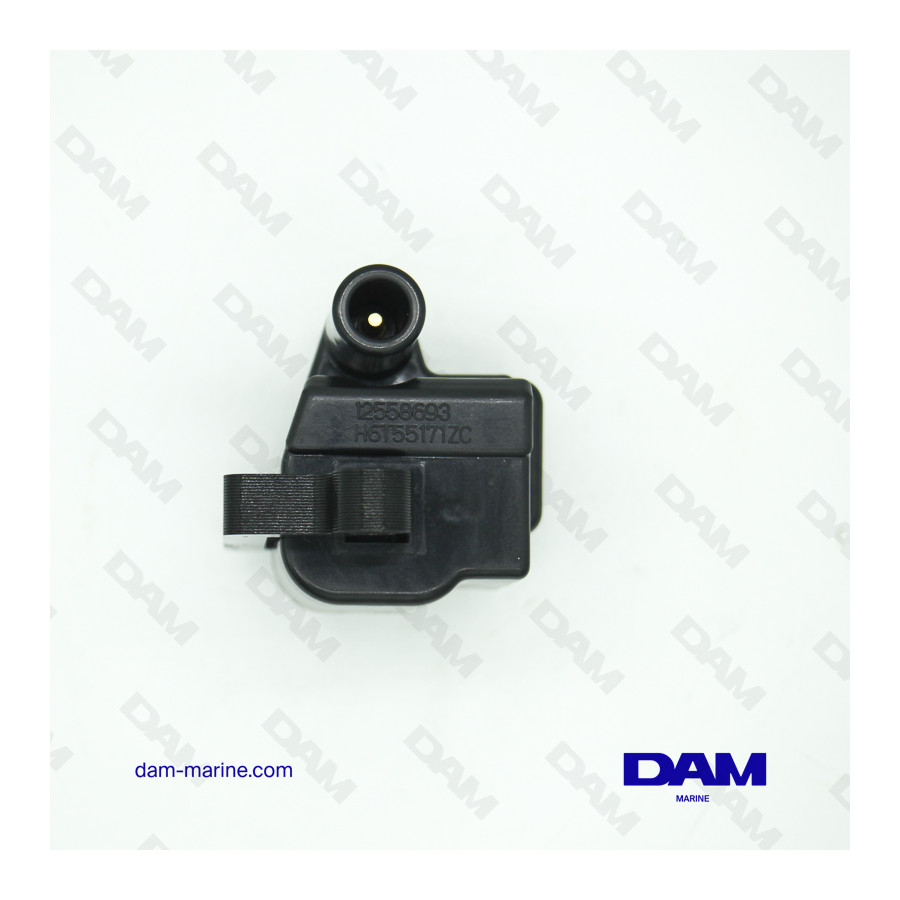 BOBINA DI ACCENSIONE GM 8,1 LITRI