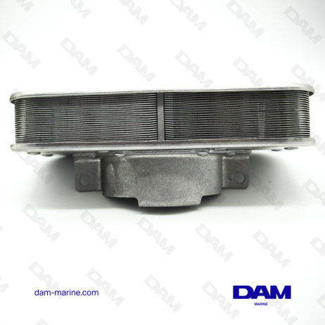 ARRESTO DI FIAMMA PCM FORD GT40 EFI