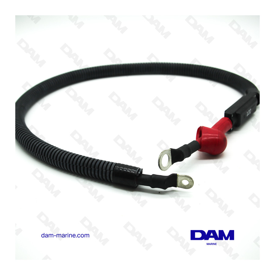 FUSIBLE DEL ARNÉS ELÉCTRICO 100AMP PCM EX/ZR