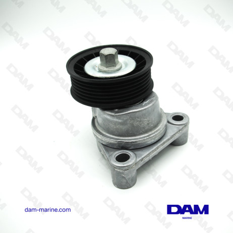 SERPENTINE TENSIONER PULLEY