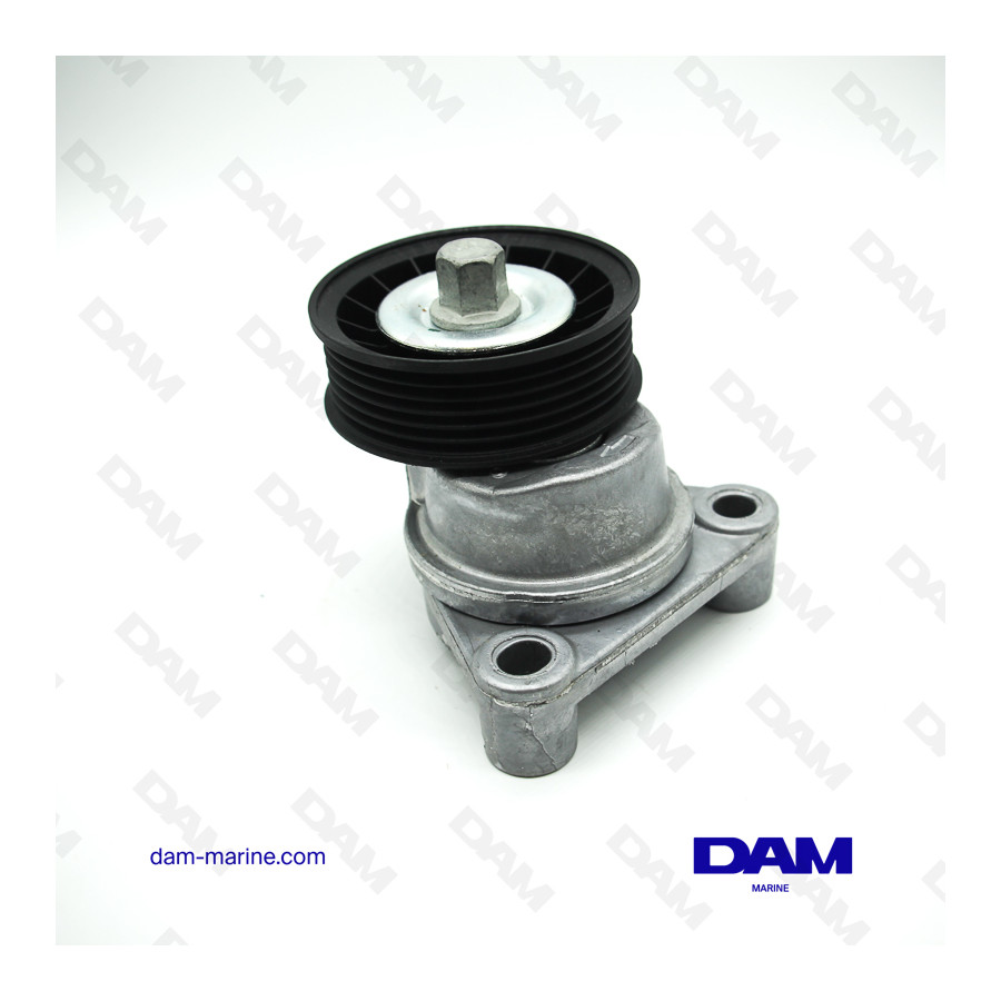 SERPENTINE TENSIONER PULLEY