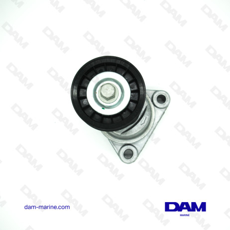 SERPENTINE TENSIONER PULLEY