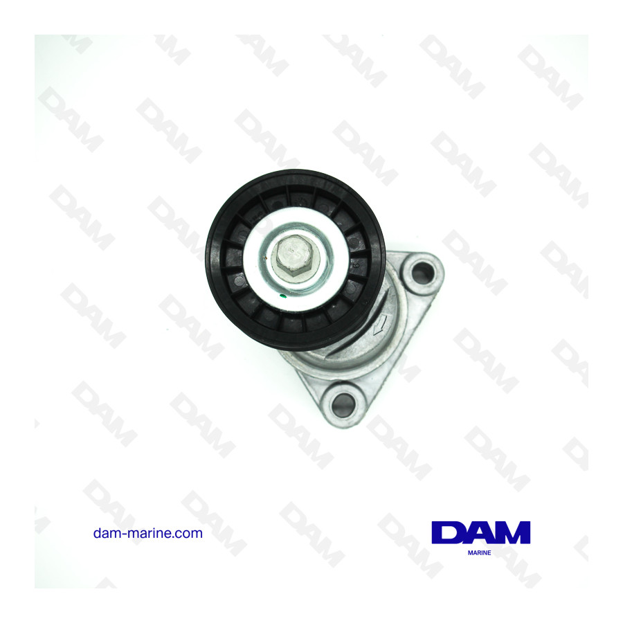 SERPENTINE TENSIONER PULLEY