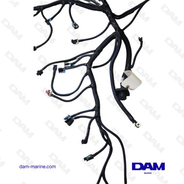 ARNÉS DE CABLEADO DEL MOTOR PCM EXCALIBUR 343-330