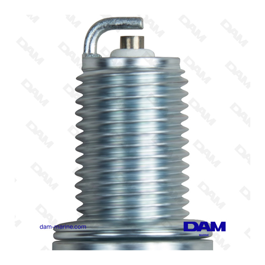 VELA DE CHAMPION