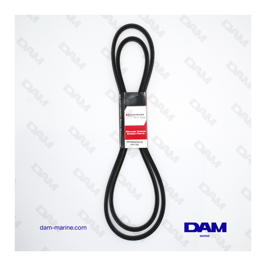 PCM FORD OEM BELT KIT