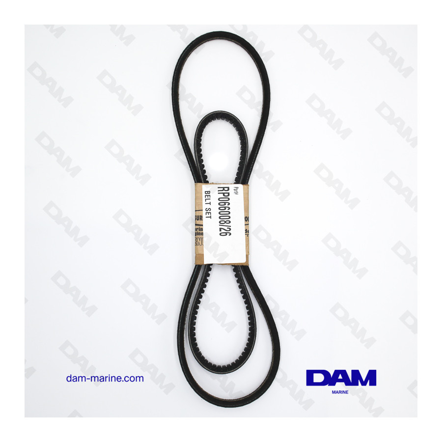 Kit cinghia OEM PCM GM305-350