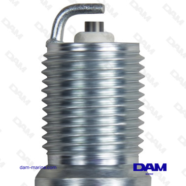 VELA DE CHAMPION