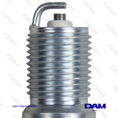 VELA DE CHAMPION