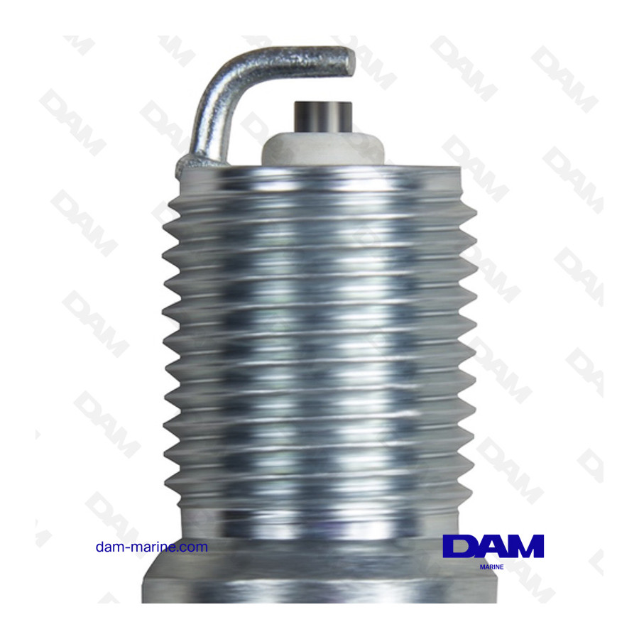 VELA DE CHAMPION